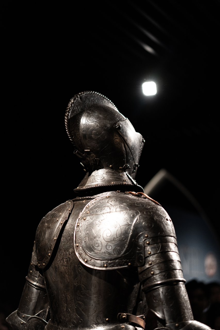Armour in profile