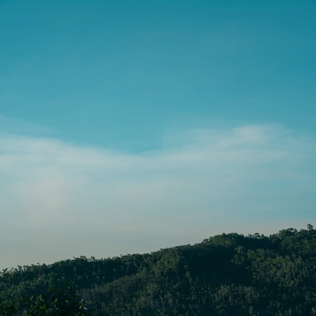 Shenzhen