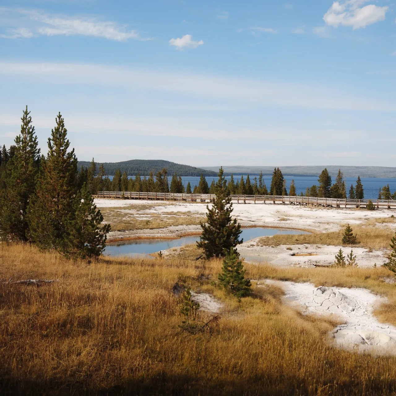 Yellowstone