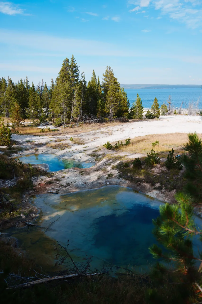 Yellowstone