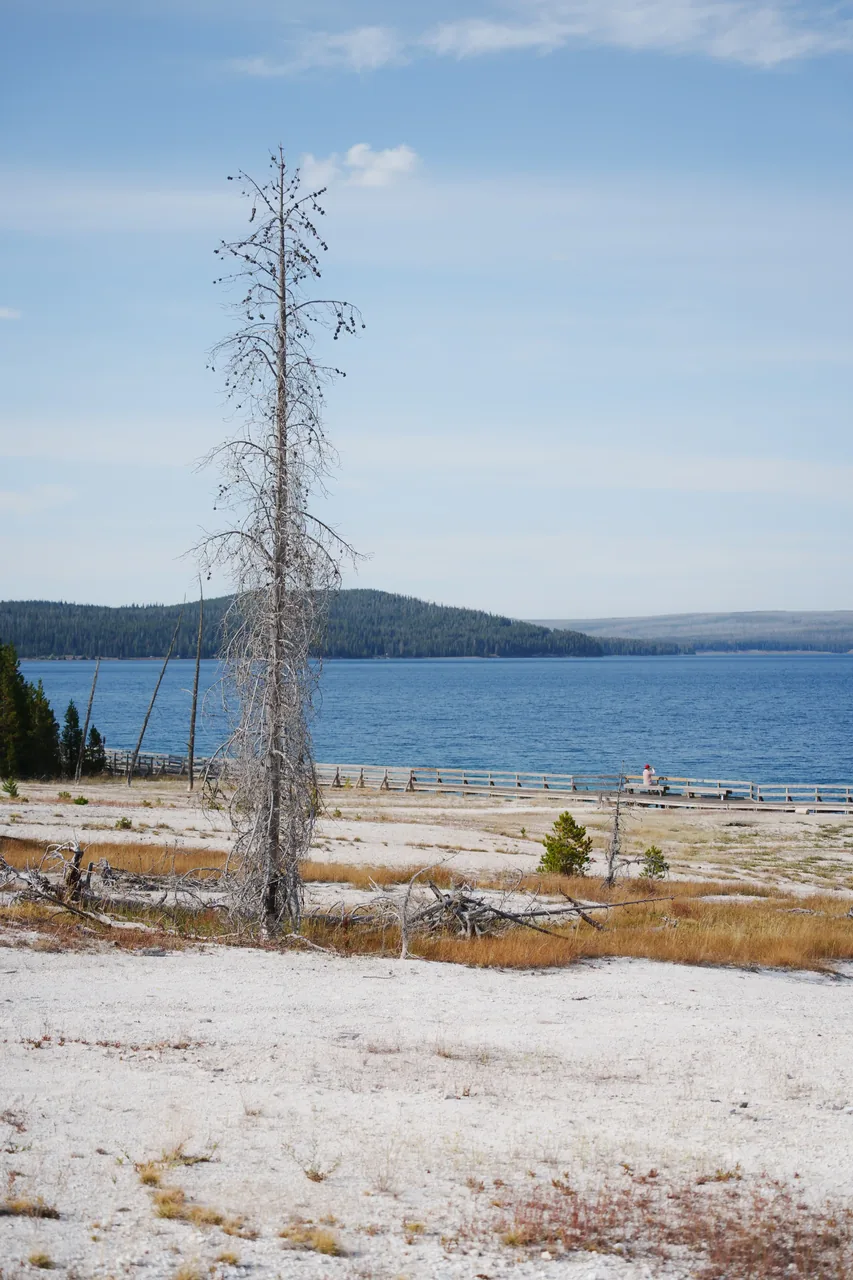 Yellowstone